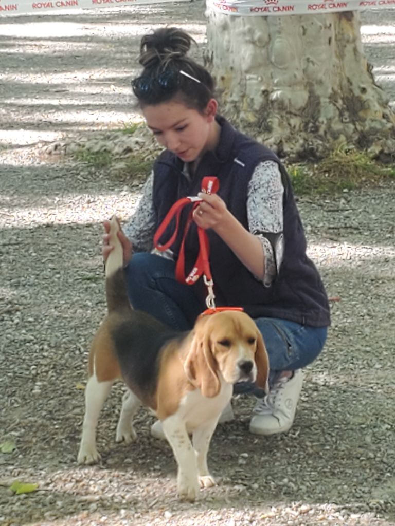 Urlane Des Meneurs d'Ariege